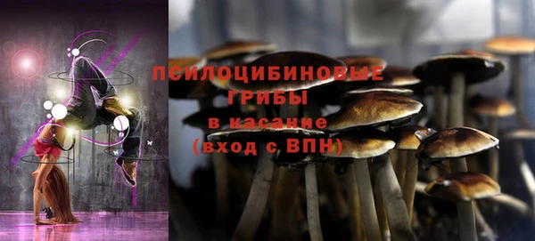 ПСИЛОЦИБИНОВЫЕ ГРИБЫ Горно-Алтайск