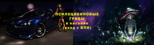 соль ск Горнозаводск