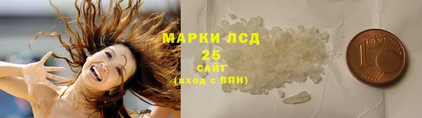соль ск Горнозаводск