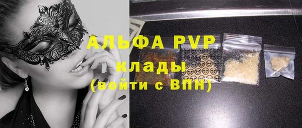 ПСИЛОЦИБИНОВЫЕ ГРИБЫ Горно-Алтайск
