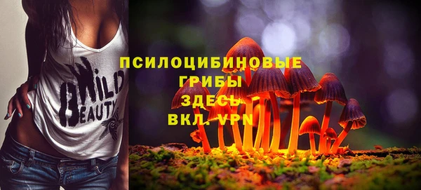 бутират Горняк