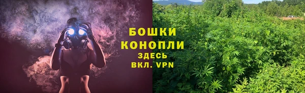 ПСИЛОЦИБИНОВЫЕ ГРИБЫ Горно-Алтайск