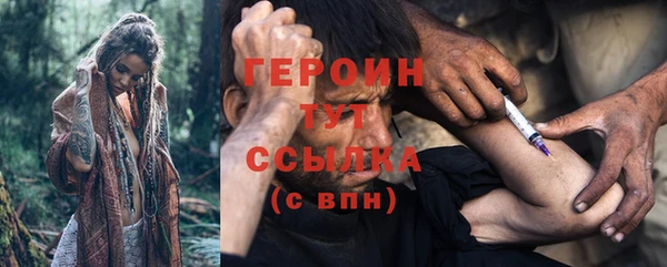 ПСИЛОЦИБИНОВЫЕ ГРИБЫ Горно-Алтайск